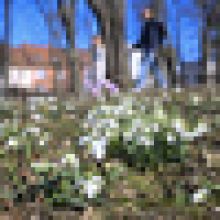 Teplotní rekordy padly na 26 místech, v Jeseníku bylo 19,7 stupně