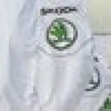 Provozní zisk Škody Auto v loňském roce stoupl, koncernu VW naopak klesl