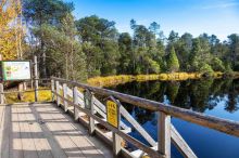 Na vlastní kůži: Lázně, výšlapy, rarity, pralinky. Užijte si pár dnů ve Velkých Losinách a okolí jako my