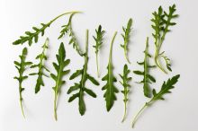 Připomíná pampeliškové listy, ale je příbuzná se zelím. Rukola posiluje játra, střeva a imunitu