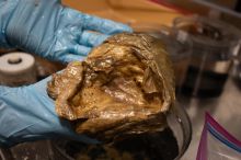 Podivná zlatá koule z moře u Aljašky dlouho mátla vědce. Po letech má vysvětlení