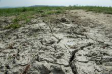 Březen a duben byly v Česku nejsušší za desítky let