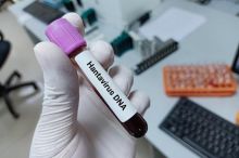 Odkud se hantavirus dostal na výletní loď? Stopa vede do Ohňové země, říká virolog