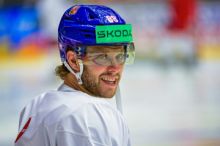 Dobeš a Pastrňák se dostali do All Star týmů NHL
