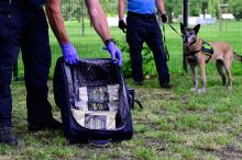 Celníci zajistili v provozovně v Libereckém kraji 45 kilogramů kratomu