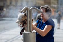 V Dánsku byla naměřena historicky nejvyšší teplota 36,6 stupně Celsia