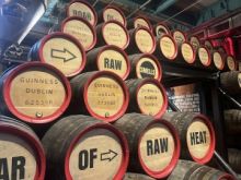 Muzeum v Dublinu odhaluje příběh piva Guinness; využívá i český chmel