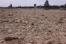 Včera veletoky, dnes potoky. Rýn a Dunaj jsou na absolutním minimu