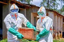 Epidemie eboly v Kongu se šíří exponenciálně, zemřelo již 2500 lidí