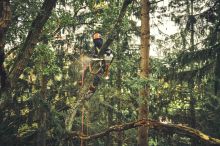 STIHL uvádí první profesionální stroje využívající platformu ALLPRO. Přináší vyšší výkon i výrazné úspory