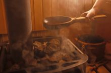 V Evropě se šíří mezi lidmi kožní nemoc zvířat. V podezření jsou sauny