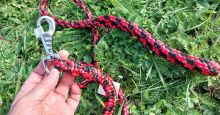 Hobby magazín: Správný obojek a vodítko pomohou výcviku i soužití člověka a psa. Stačí pár základních pravidel (audio)