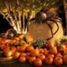 Halloween v botanické zahradě v Troji zavede návštěvníky do pravěku